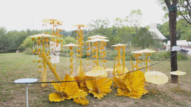 無綫新聞 TVB News 無綫新聞 TVB News