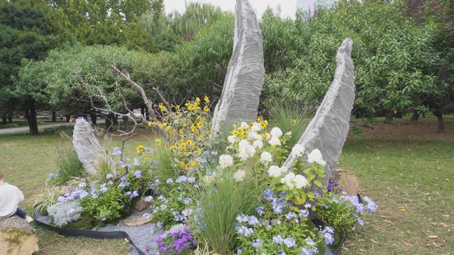 無綫新聞 TVB News 無綫新聞 TVB News