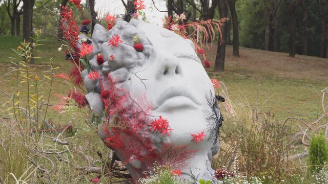 無綫新聞 TVB News 無綫新聞 TVB News