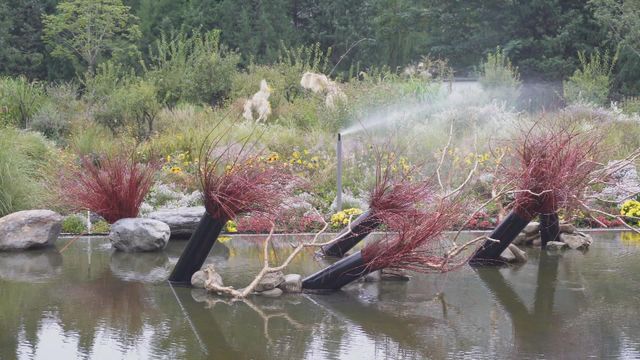 無綫新聞 TVB News 無綫新聞 TVB News