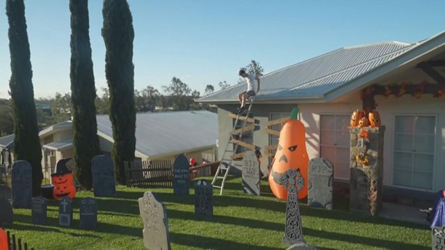 無綫新聞 TVB News 無綫新聞 TVB News