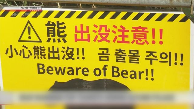 Four more people injured in Japan's bear attacks | 無綫新聞 TVB News