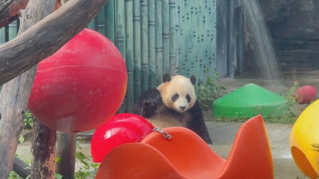 無綫新聞 TVB News 無綫新聞 TVB News