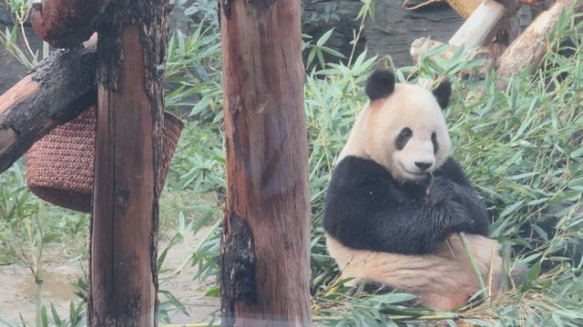 無綫新聞 TVB News 無綫新聞 TVB News