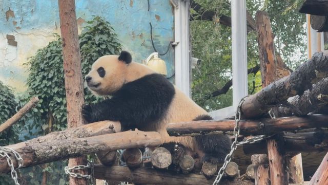 無綫新聞 TVB News 無綫新聞 TVB News