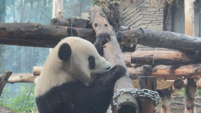 無綫新聞 TVB News 無綫新聞 TVB News