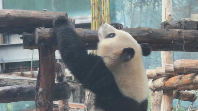 無綫新聞 TVB News 無綫新聞 TVB News