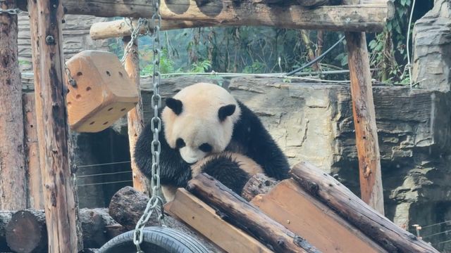 無綫新聞 TVB News 無綫新聞 TVB News