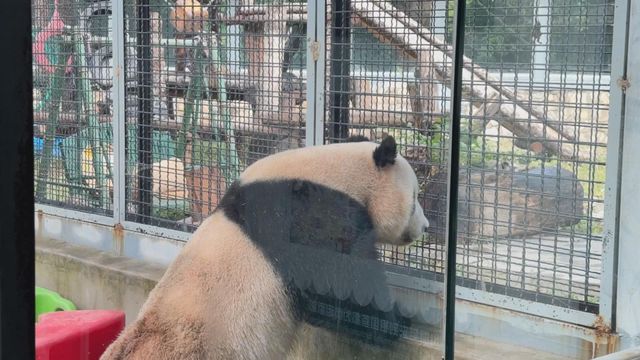 無綫新聞 TVB News 無綫新聞 TVB News