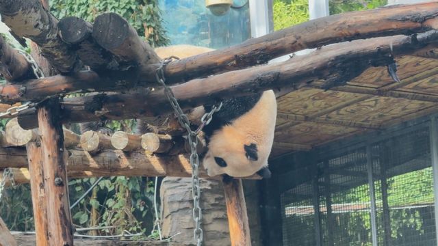 無綫新聞 TVB News 無綫新聞 TVB News