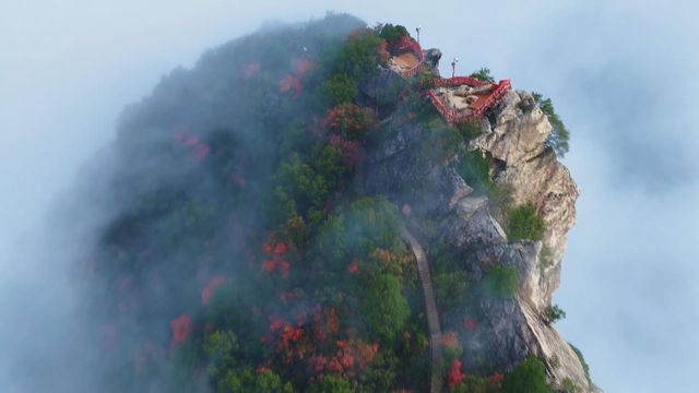 無綫新聞 TVB News