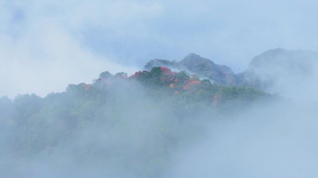 無綫新聞 TVB News