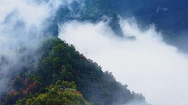 無綫新聞 TVB News