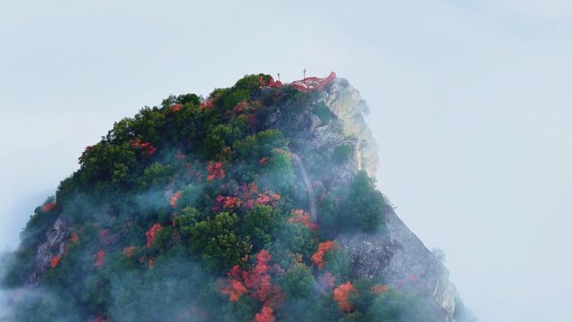 無綫新聞 TVB News