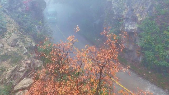 無綫新聞 TVB News