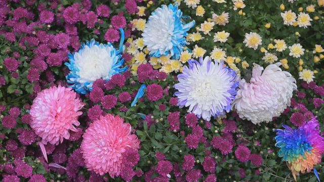 無綫新聞 TVB News 無綫新聞 TVB News