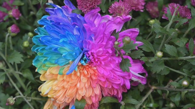 無綫新聞 TVB News 無綫新聞 TVB News