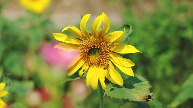 無綫新聞 TVB News