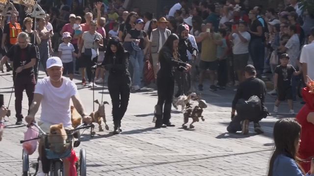 無綫新聞 TVB News