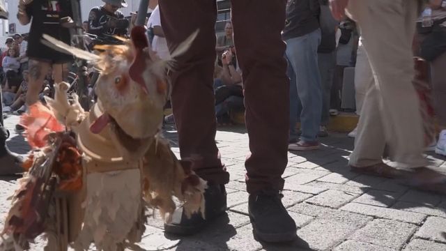 無綫新聞 TVB News