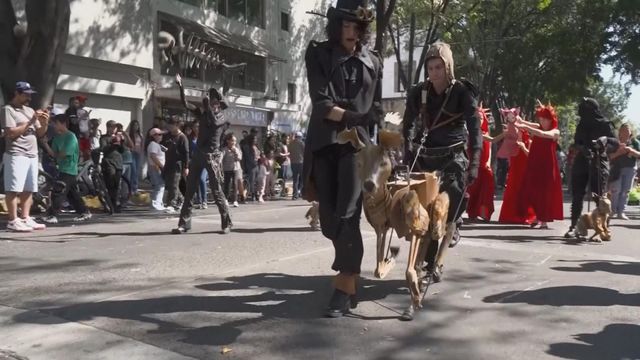 無綫新聞 TVB News