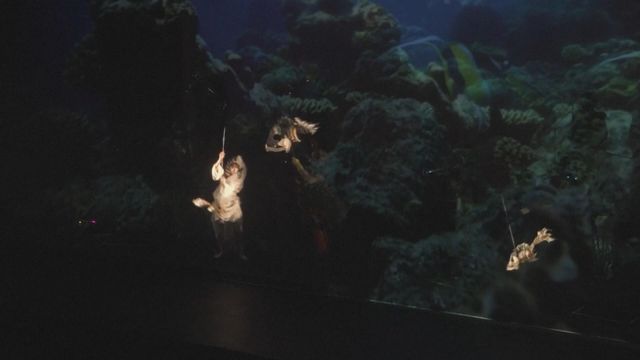 無綫新聞 TVB News