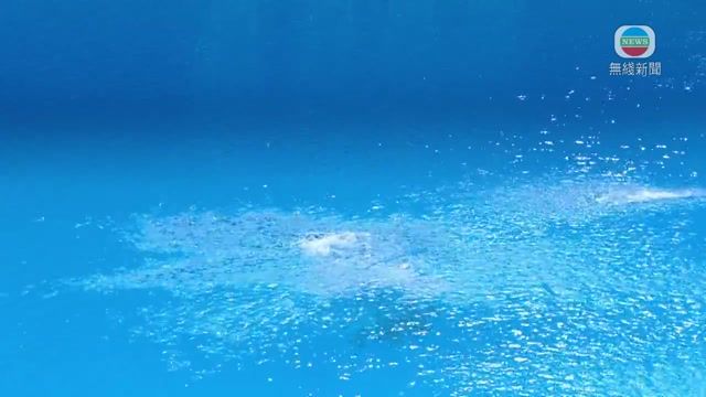 图片_d355df06