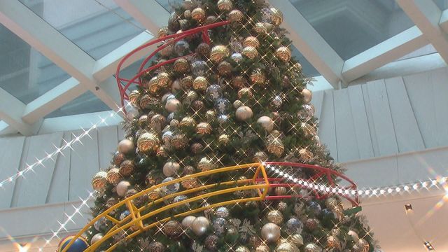 無綫新聞 TVB News