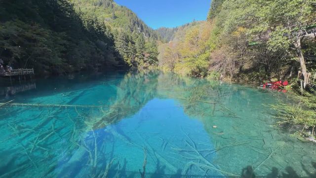 無綫新聞 TVB News