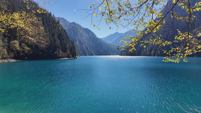 無綫新聞 TVB News