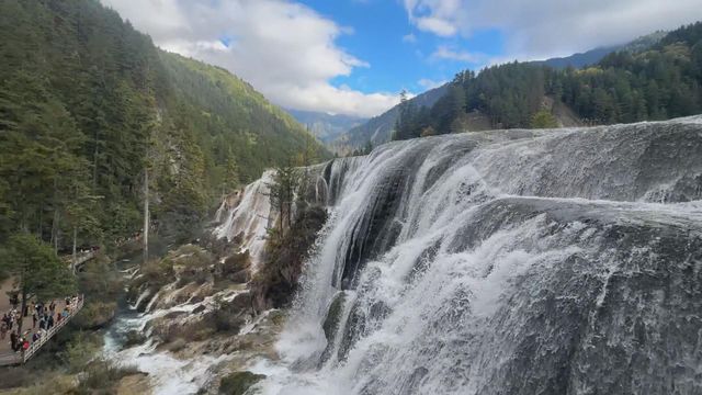 無綫新聞 TVB News