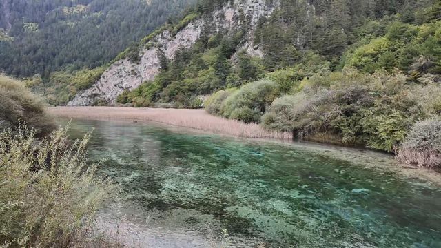 無綫新聞 TVB News