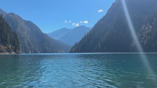 無綫新聞 TVB News