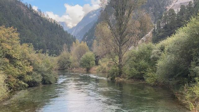 無綫新聞 TVB News