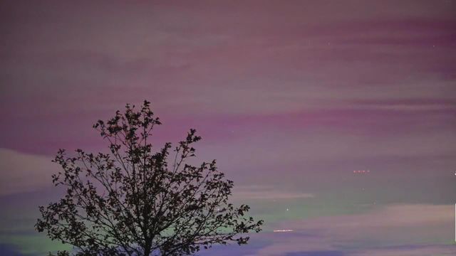 無綫新聞 TVB News