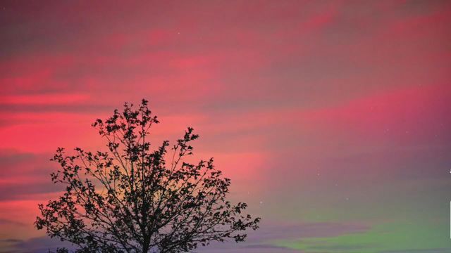 無綫新聞 TVB News