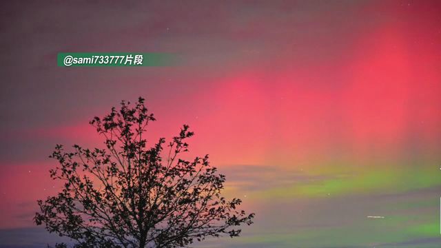 無綫新聞 TVB News