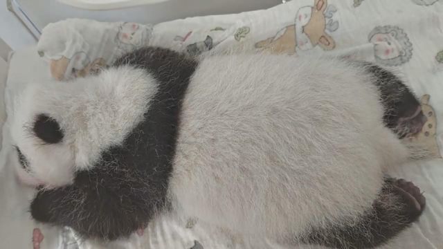 無綫新聞 TVB News