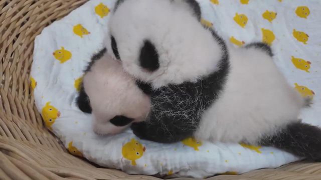 無綫新聞 TVB News