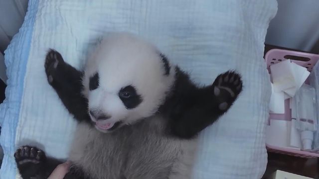 無綫新聞 TVB News