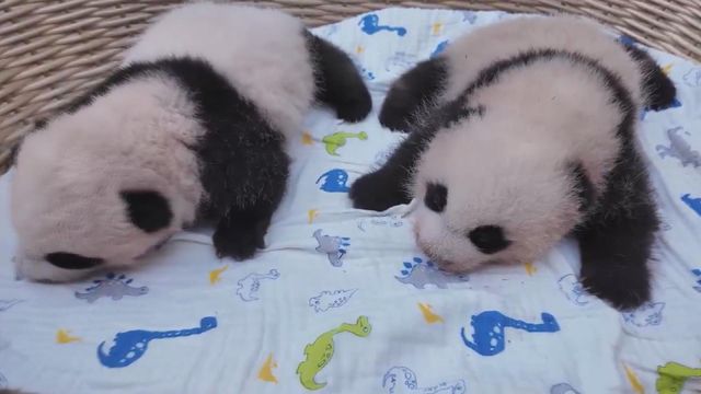 無綫新聞 TVB News