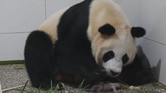 無綫新聞 TVB News 無綫新聞 TVB News