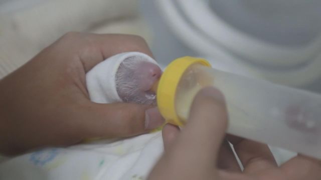 無綫新聞 TVB News 無綫新聞 TVB News