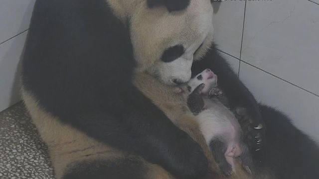 無綫新聞 TVB News 無綫新聞 TVB News