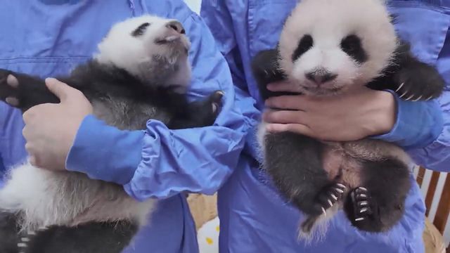 無綫新聞 TVB News 無綫新聞 TVB News