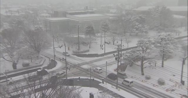 消委會收旅遊保險投訴　涉日本風雪自駕遊