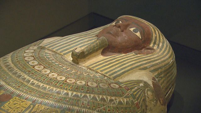 無綫新聞 TVB News