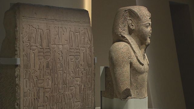 無綫新聞 TVB News