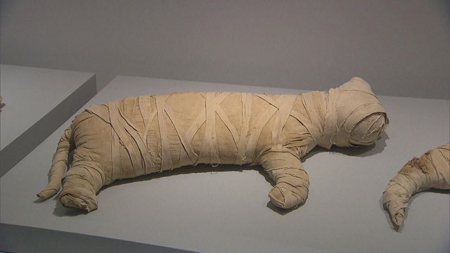 無綫新聞 TVB News 無綫新聞 TVB News