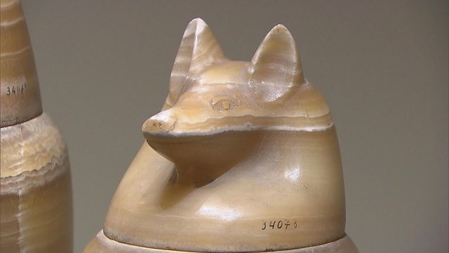 無綫新聞 TVB News 無綫新聞 TVB News